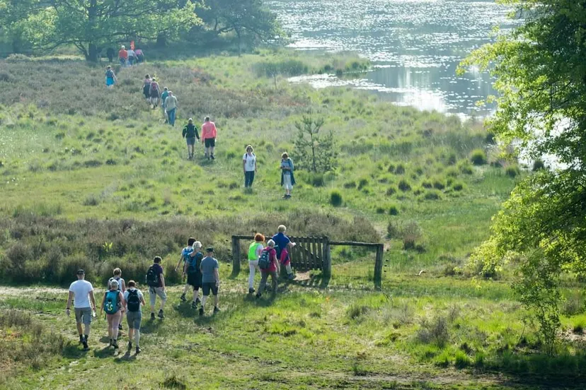 wandele naor schandele