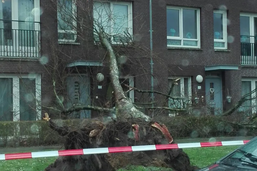 whatsapp image 2018 01 18 at 151549