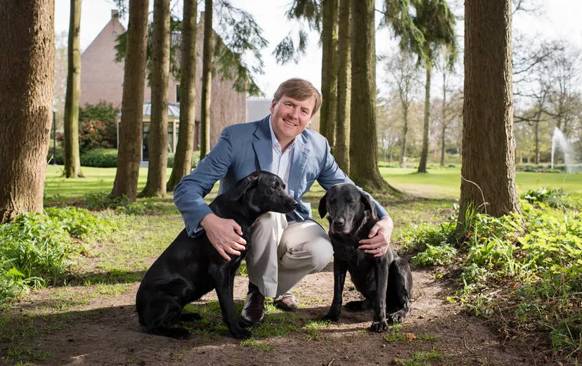 zijne majesteit koning willem alexander met de honden skipper en nala