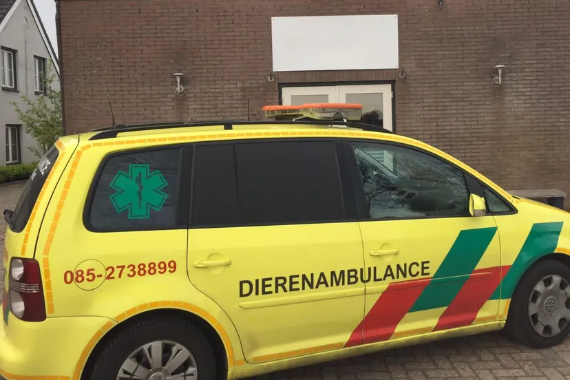 zwerfdieren opvang 0