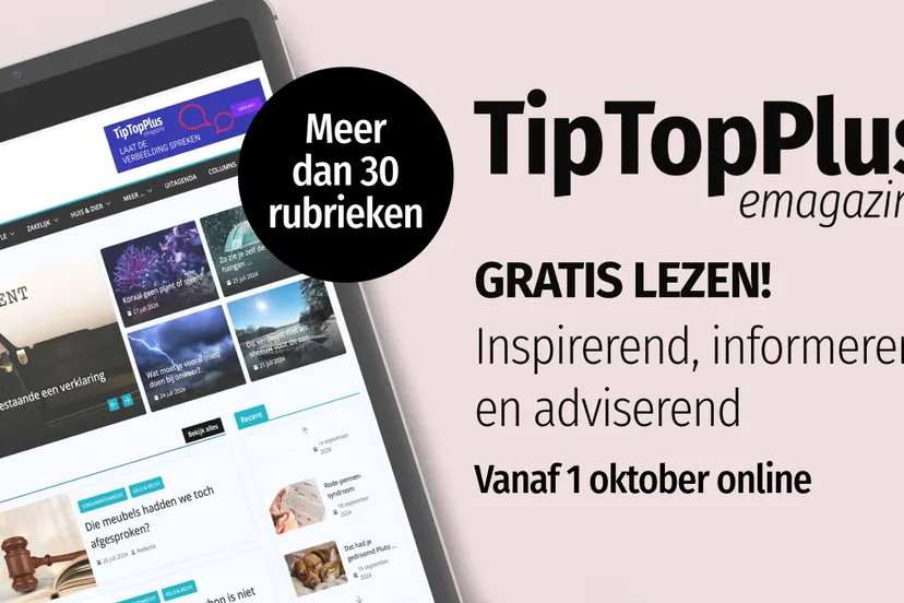 461591492 922373443244206 4959799761189503687 n