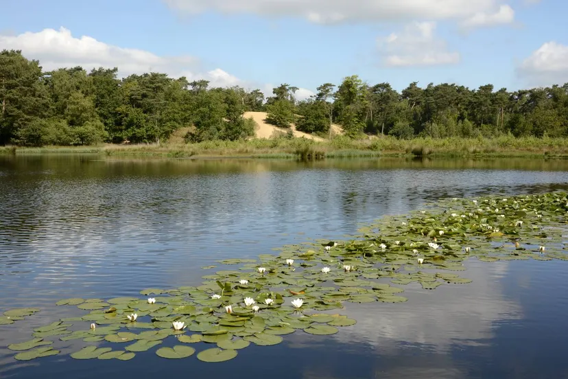 ravenvennen henk heiligers