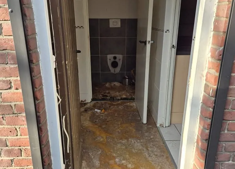 whatsapp image 2025 02 04 at 133659