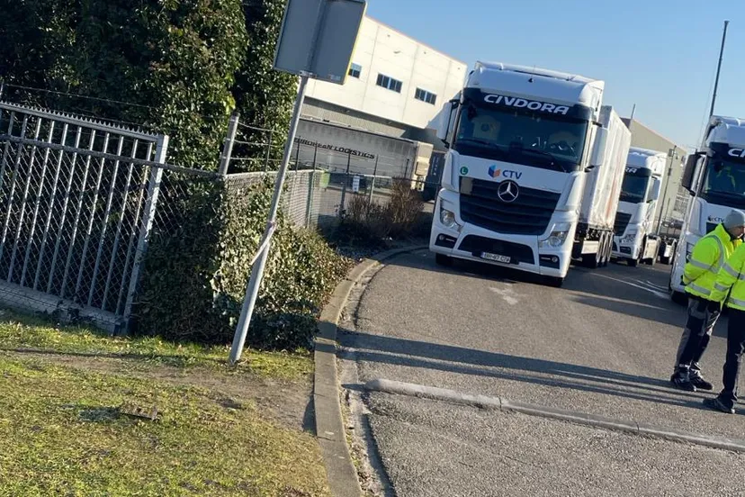 whatsapp image 2025 02 17 at 114353