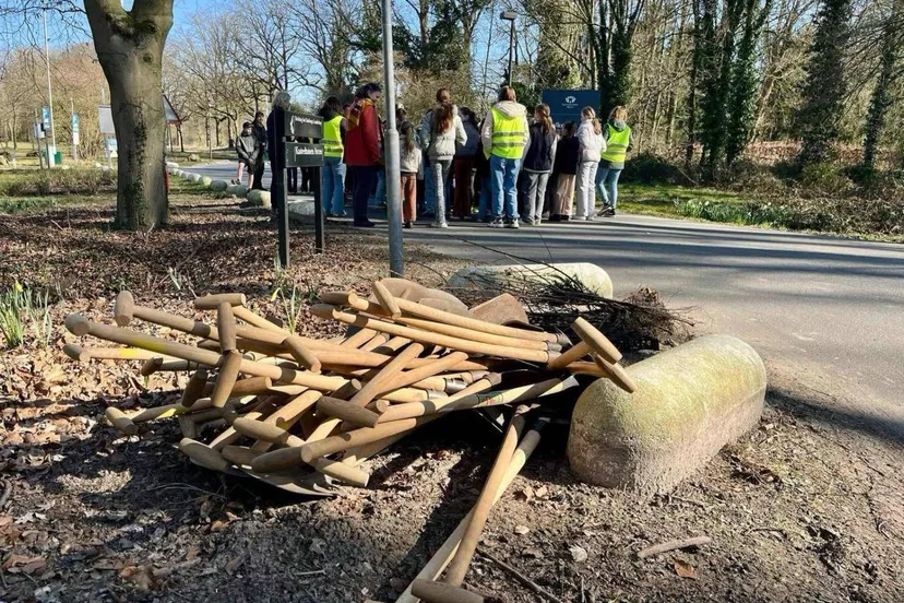 afbeelding boomfeestdag