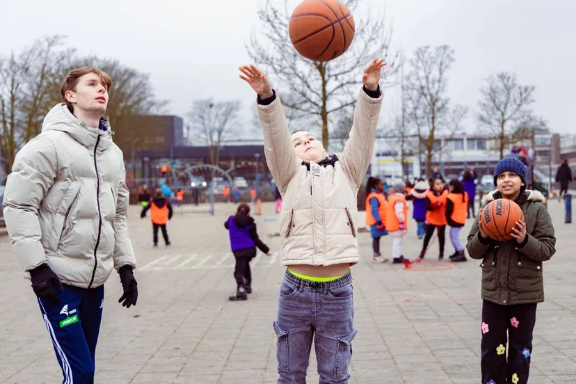 dd 023 mikado 01202025