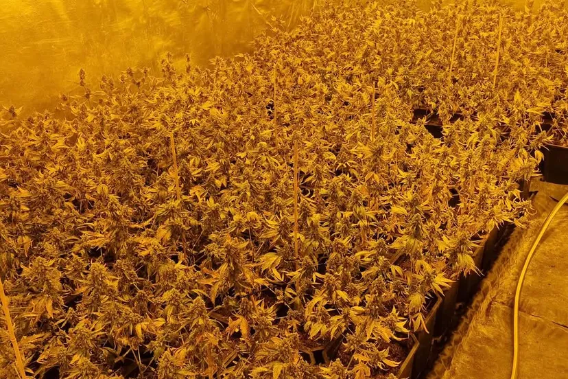 fb img 1746079679677