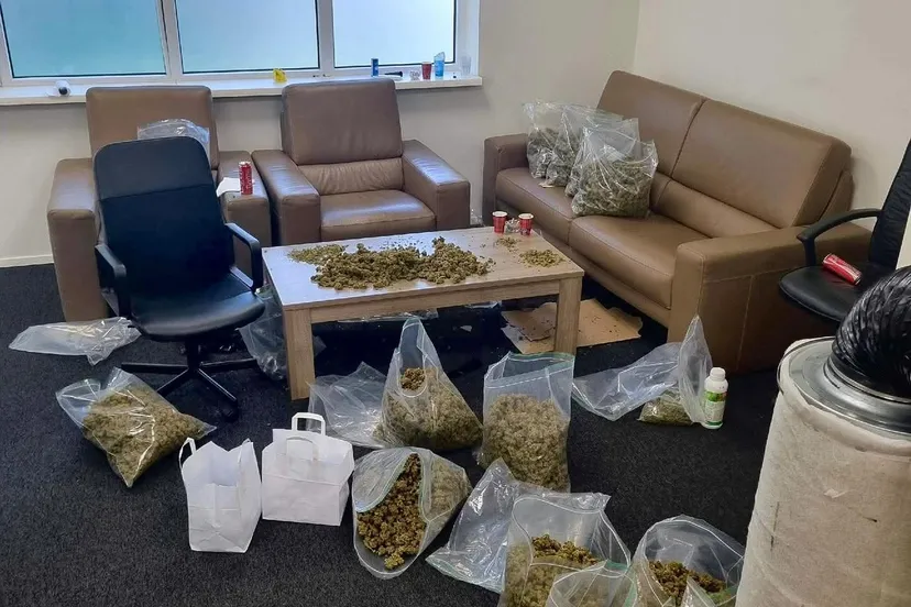 FB_IMG_1756234931655