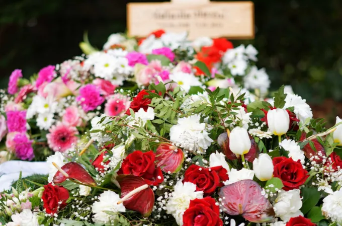 Schermafbeelding 2026-01-07 105838