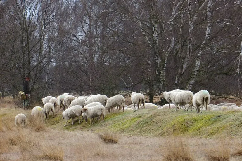 Natuur onder de loep -Piet Fleuren
