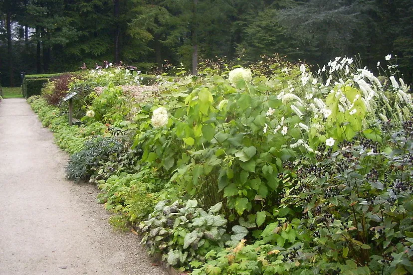 1024px oosterbeek tuin lage oorsprong 02