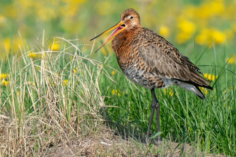 1052 f02aac4107e248492d7f7301ad9ef10e scaled