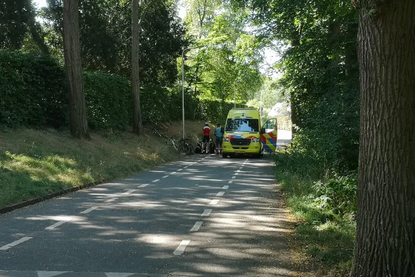 12 08 onder de bomen