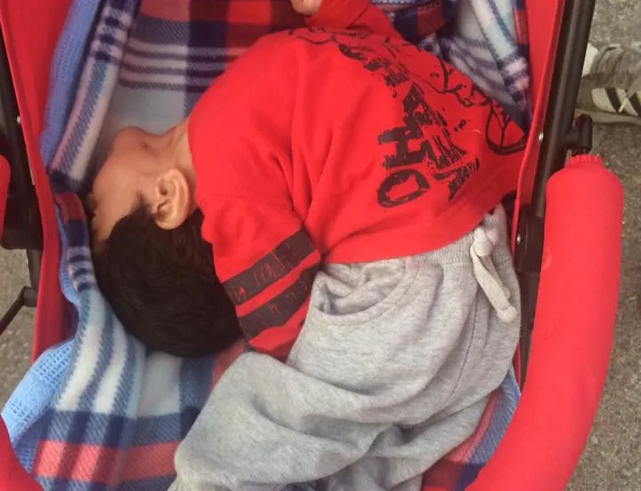 12924388 910592679038228 8230901617871727399 n