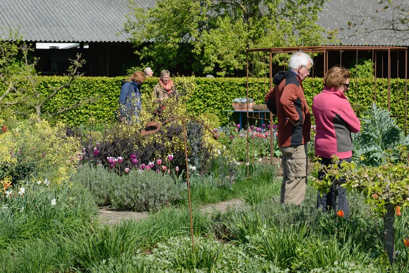 13 open voorjaar 2 lie7309