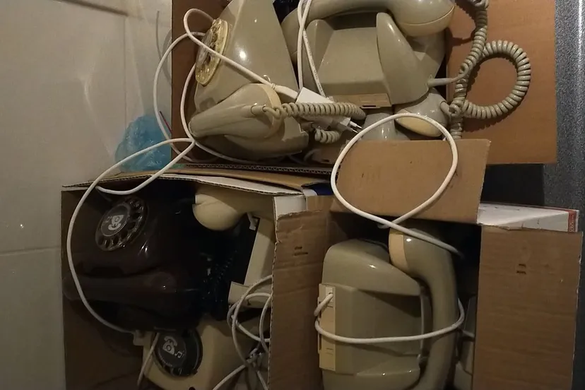 147549983 239519901002066 486086557498550360 n