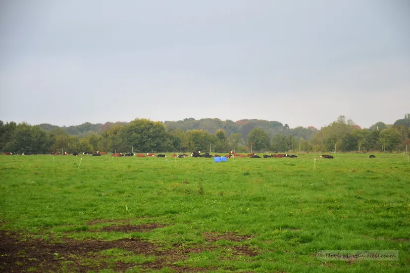 15 10 22 veld en beek 2