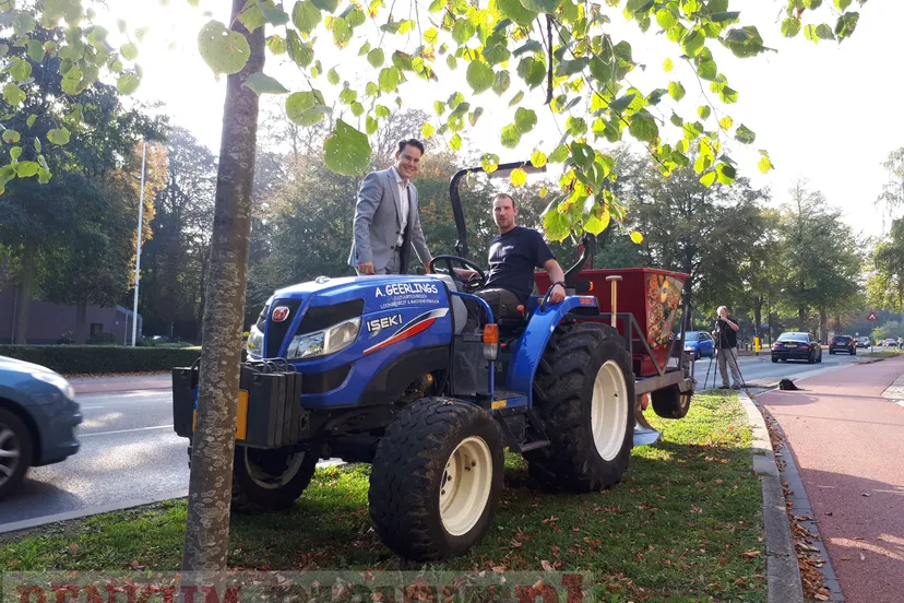 17 10 bloembollen en bijenkorf 3