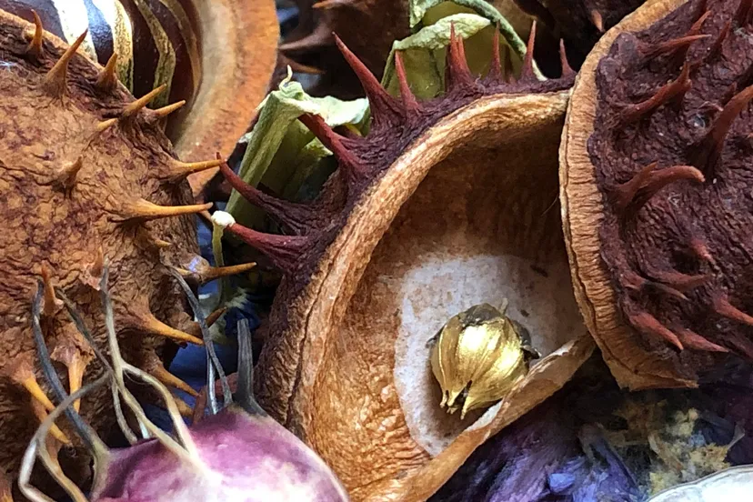 20230200 beeld paasgroetenactie