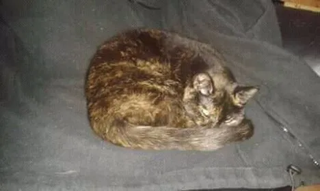 23201911 289104864932537 1159315526 n