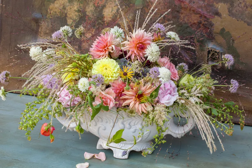 35 dahlia en tuinbrocante eb 049504