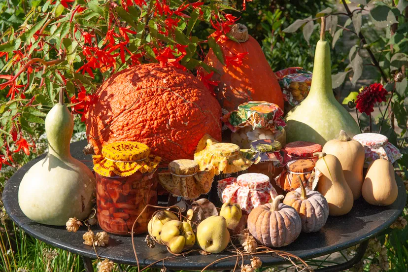 49 oogstfair evn5543