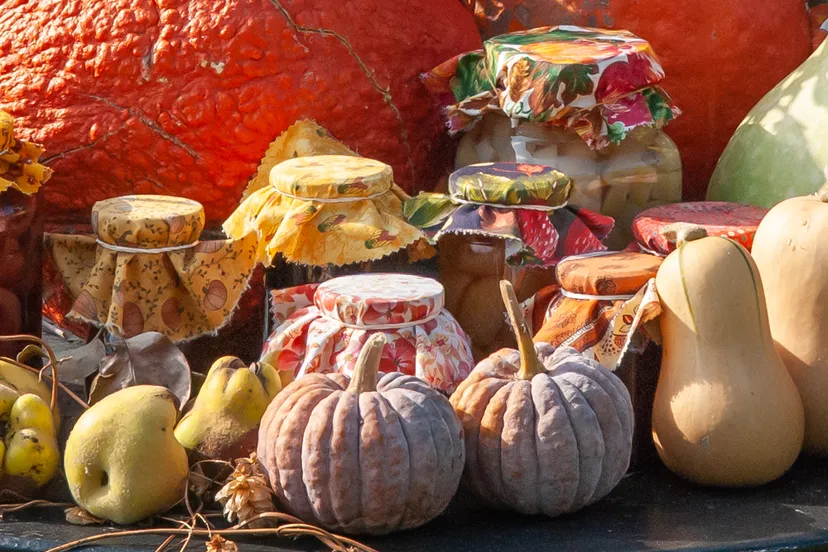 50 oogstfair evn5572