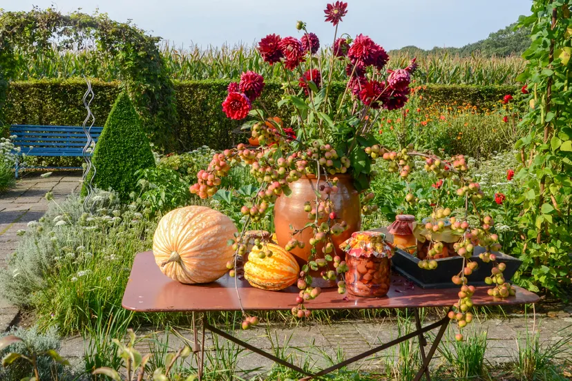 53 oogstfair 4 dsc 2213