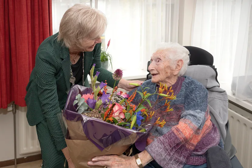 61 mw v dn berg wesse s 100jr 1