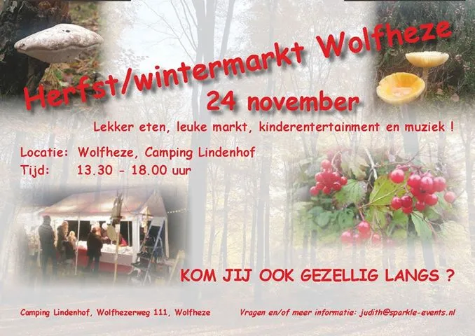 72717458 565473034217685 8735956968893579264 n