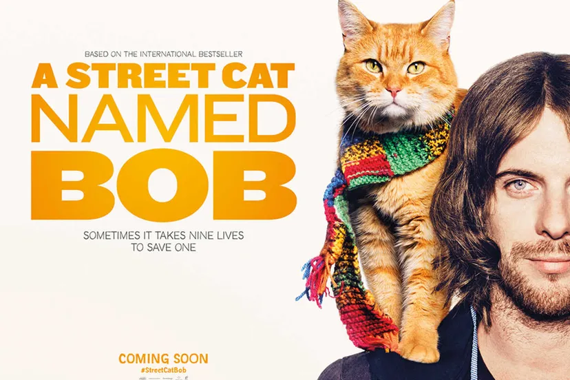 a street cat named bob