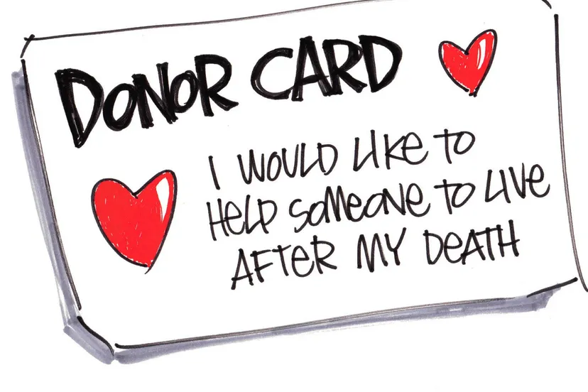 animaatjes orgaan donatie 214781