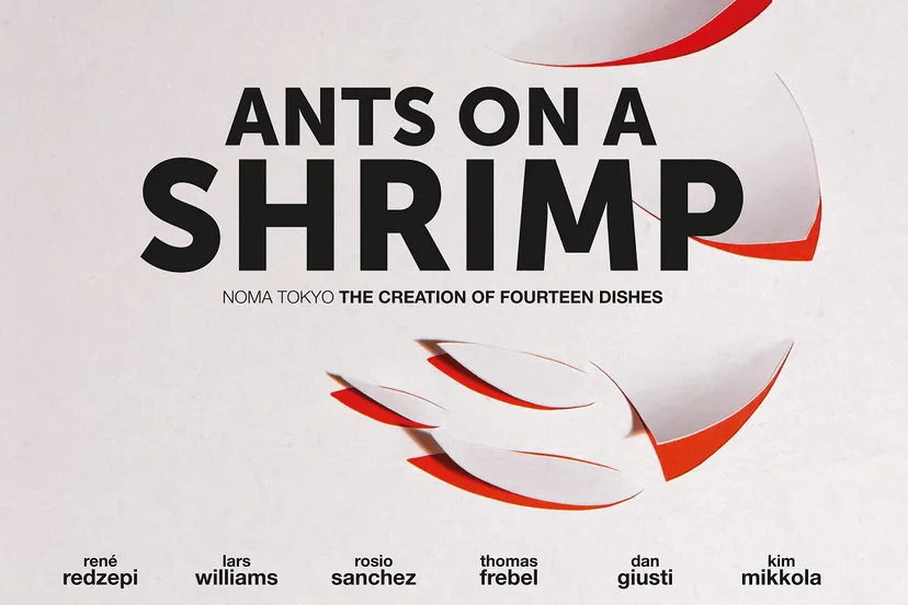 ants on a shrimp