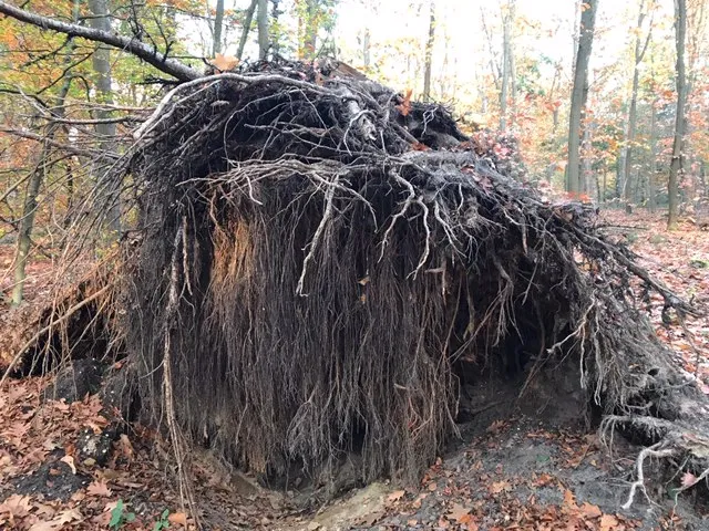 b4673dfa 43e4 4cac b7ed 2a3112acb855