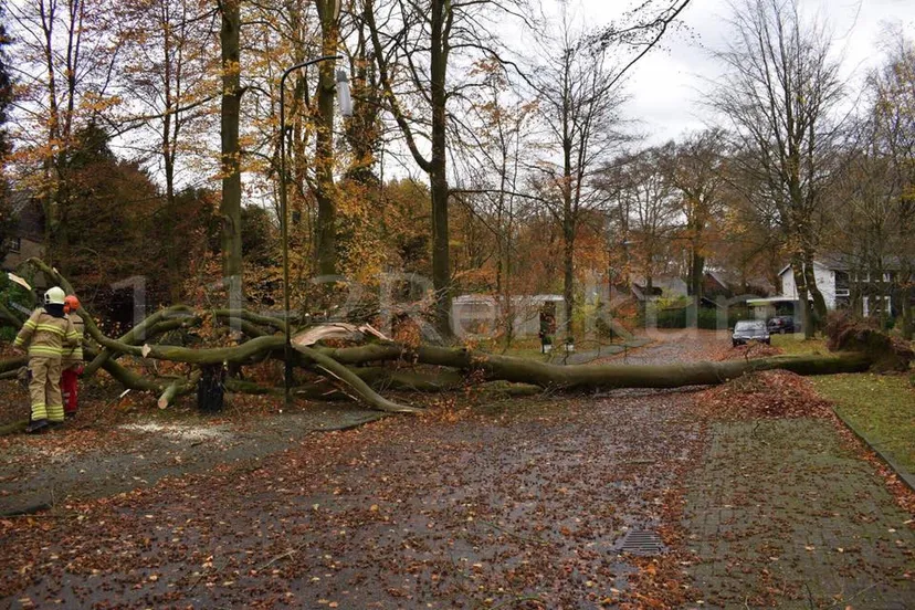 bernadottelaan doorwerth