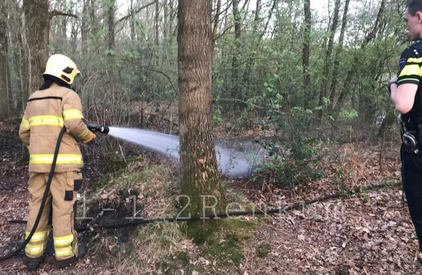 brand dorenweerd