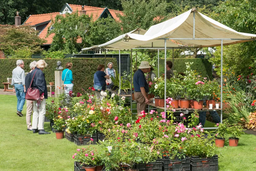 clematis rozen specialiteitenmarkt