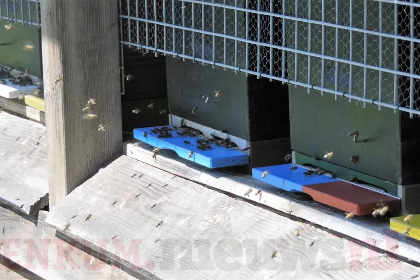 dag van het kasteel 2018 35