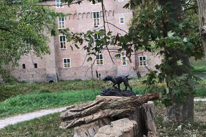 de vriend van de nimrod trofee 2018