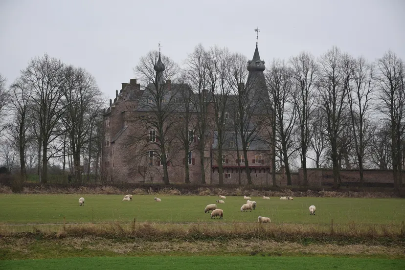 doorwerth kasteel winter achteraanzicht schapen ftb 20