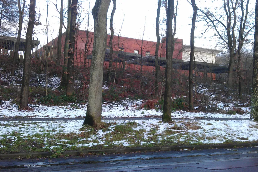 dorenweerd college 2