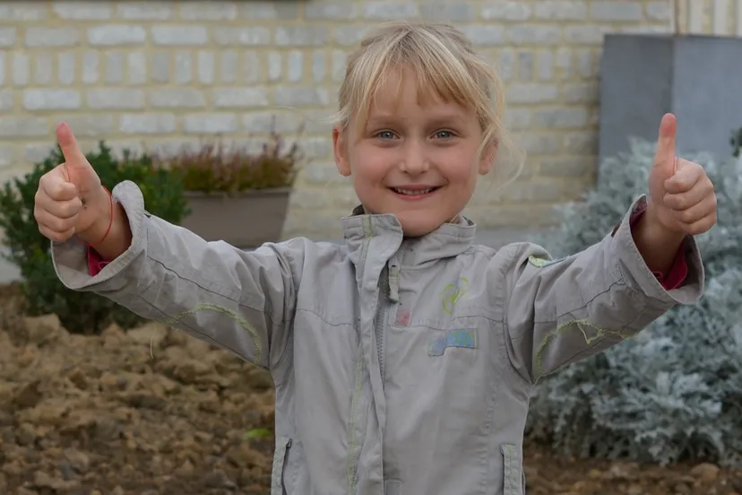 duim omhoog ben kerckx pixabay