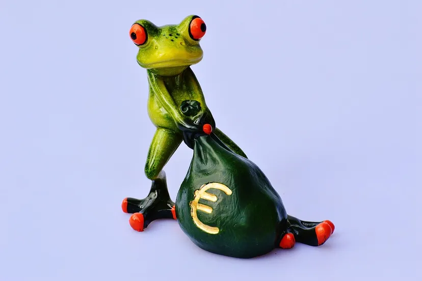 geld zak kikker alexas fotos pixabay