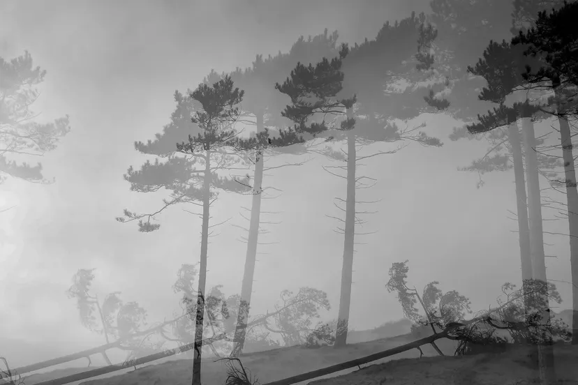 gevlucht steve gijrath