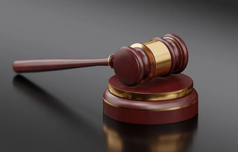 hamer quincemedia pixabay