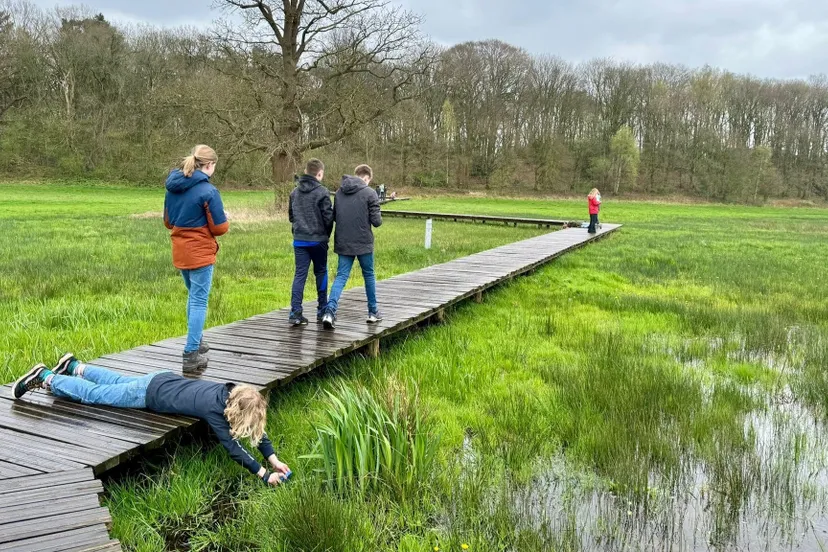 het beekdal door de ogen van kinderen foto linda swaap