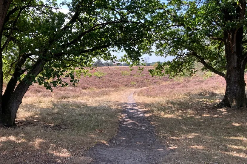 informatieavond recreatiezonering wolfheze goed bezocht