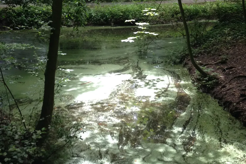 iphone july 29 2014 1750