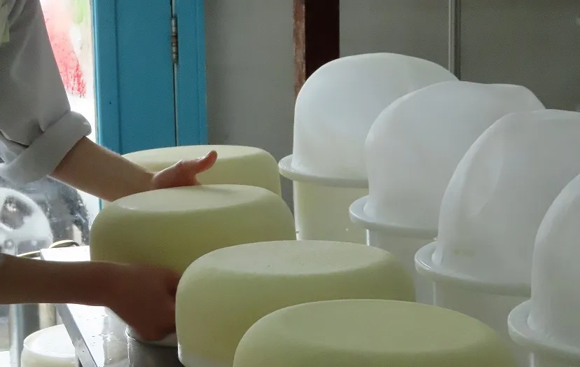 kaas maken veldbeek foto ada van heest