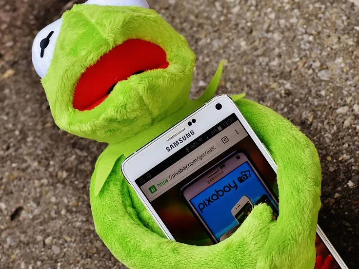 kermit ice alexas fotos pixabay